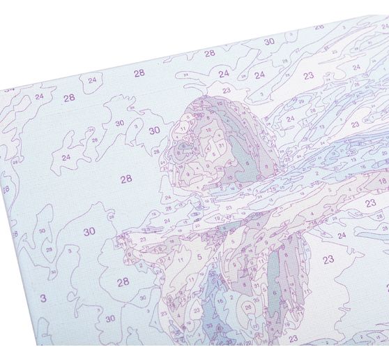 Painting by numbers on stretched canvas, 30 x 40 cm