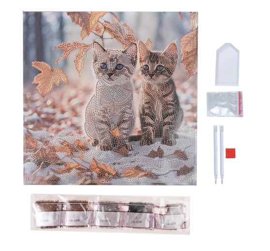 Diamond Painting "Crystal Art Kit", 30 x 30 cm
