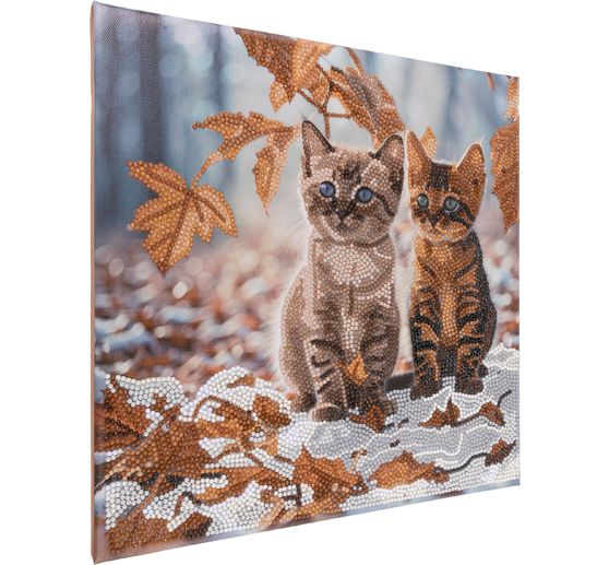 Diamond Painting "Crystal Art Kit", 30 x 30 cm