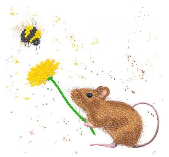 Set di maxi carte "Diamonds