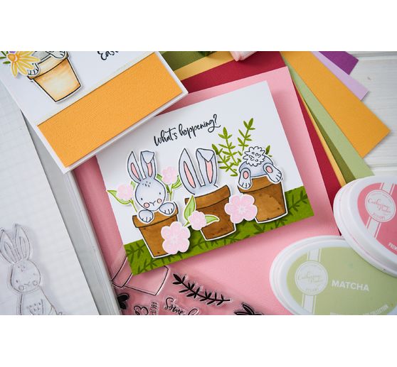 Sizzix Thinlits Punching template by Catherine Pooler