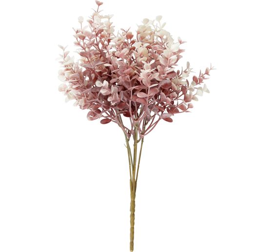 Boxwood branch "Evergreen"