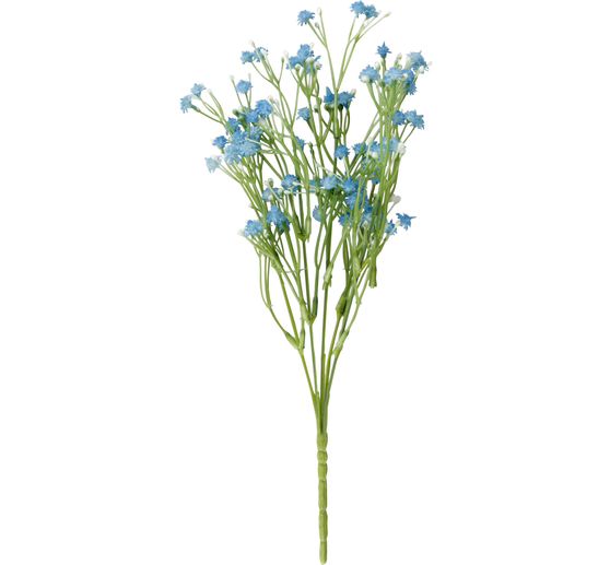 Field widow flower "Evergreen"