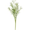 Field widow flower "Evergreen" White
