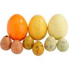 Decorative egg mix Yellow