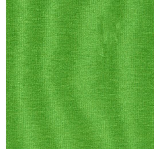 Cotton single jersey "Uni"