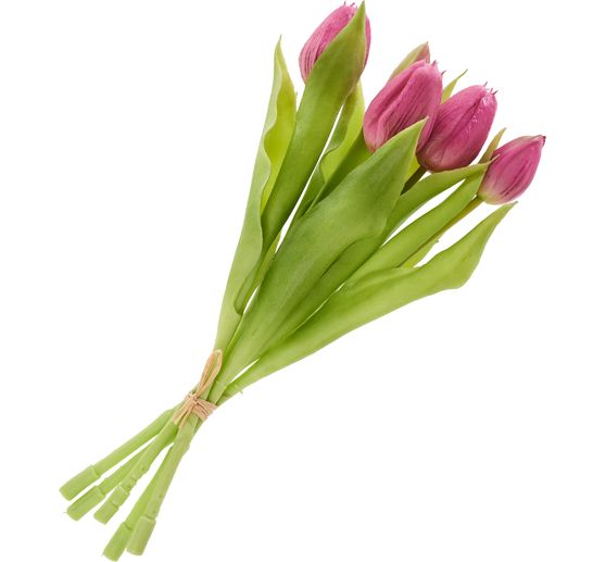 Tulips bunch with 3 flowers and 2 buds