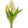 Tulip bunch "Sally" Cream