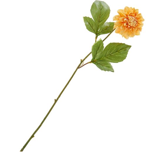 Dahlia "George Spray"