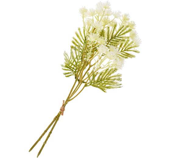 Ramo dell'infiorescenza