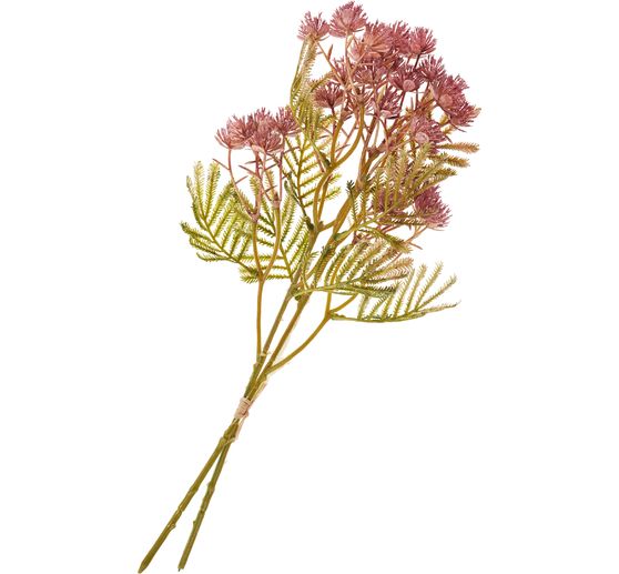 Ramo dell'infiorescenza