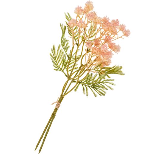 Ramo dell'infiorescenza