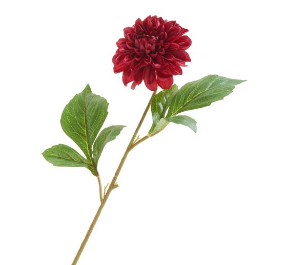 Dalia "George Spray"