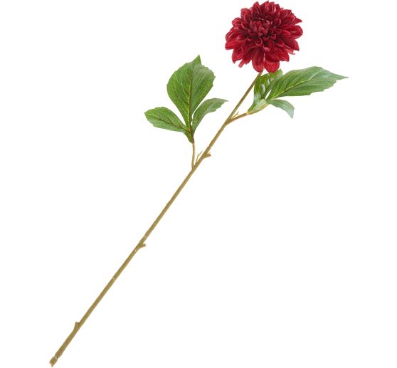 Dalia "George Spray"