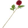 Dalia "George Spray" Bordeaux