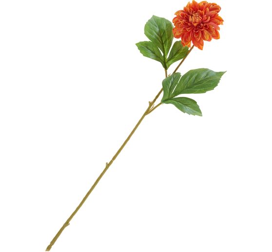 Dalia "George Spray"