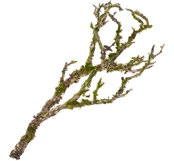Decorative branch