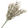 Eucalyptus bush Dark Green