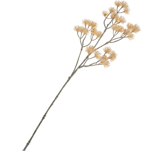 Flower cluster branch "Liliana"