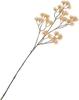 Flower cluster branch "Liliana"