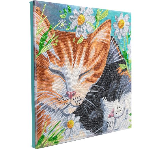Pittura a diamante "Crystal Art Kit", 30 x 30 cm