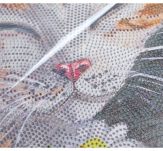 Pittura a diamante "Crystal Art Kit", 30 x 30 cm