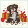 Maxi card set "Diamonds" Scamp