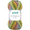 Lana Gr&uuml;ndl "Lisa Premium color" Colore 23