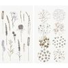 Adesivi washi "In the Meadow" Nero/Oro