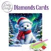 Set carte "Diamonds" Christmas Polar Beer