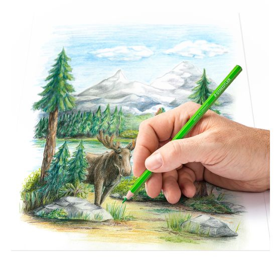 STAEDTLER Coloured pencils in metal tin