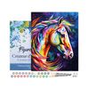 Dipingere con i numeri su telaio, 40 x 50 cm Cavallo - Astratto colorato