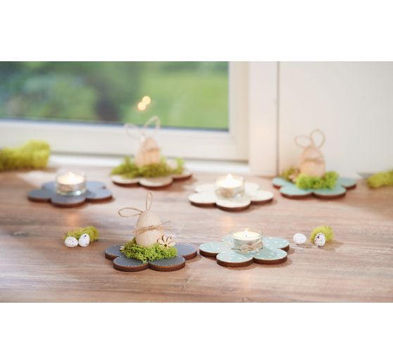 VBS Iceland moss, 100 g