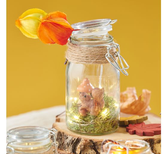 VBS Iceland moss, 100 g