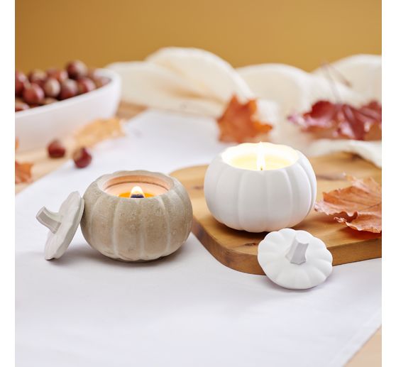 Casting powder "Raysin 200", white