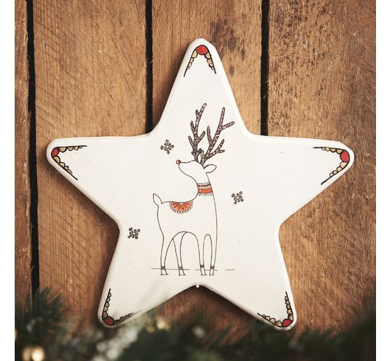 Casting powder "Raysin 200", white