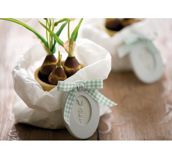 Colour pigment powder