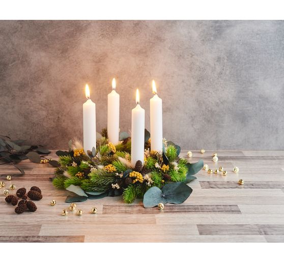 Eucalyptus Cinerea prepared