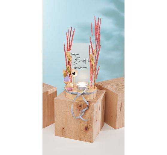 Dried flowers "Phalaris" 