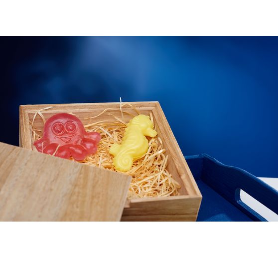Starter Set "3D Soaps"