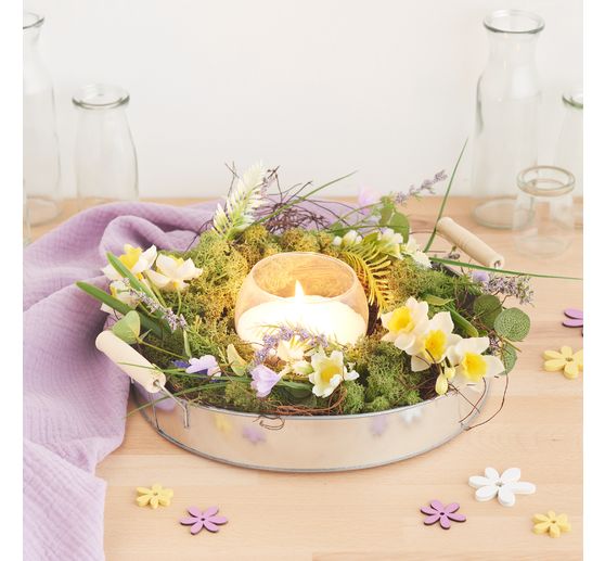 VBS Iceland moss, 100 g