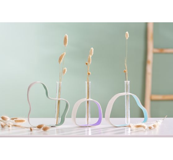 Dried flowers "Phalaris" 