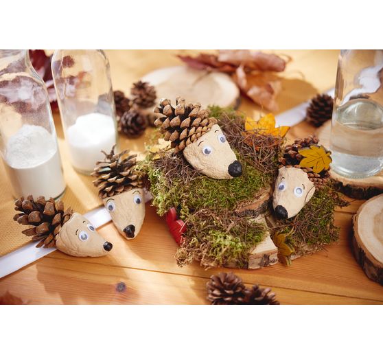 VBS Fir cones, 250 g