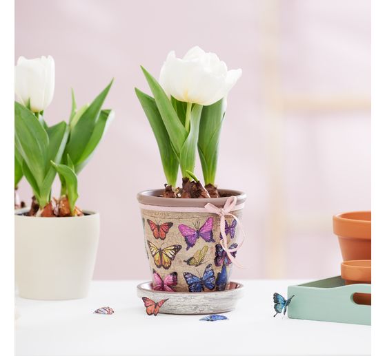 VBS Crackling lacquer