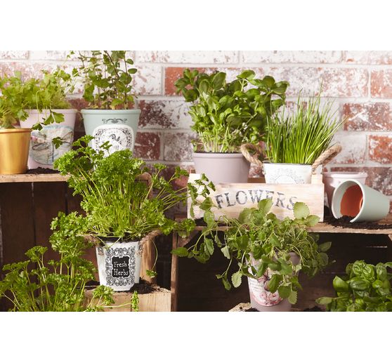 Terracotta-rose pots, 3 pcs