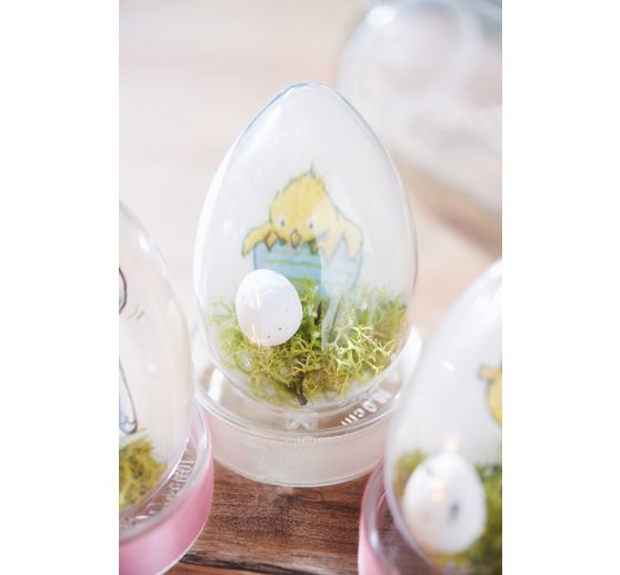 VBS Acrylic egg, 8 cm, 6 pc.