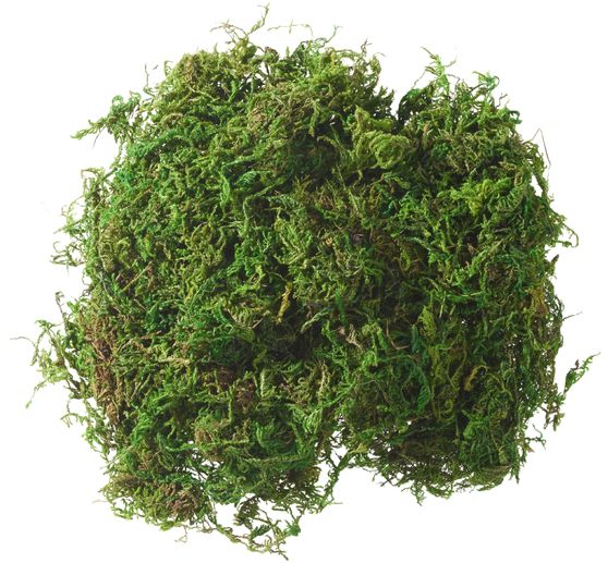 Muschio VBS "verde scuro"