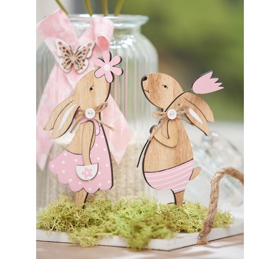 VBS Iceland moss, 100 g