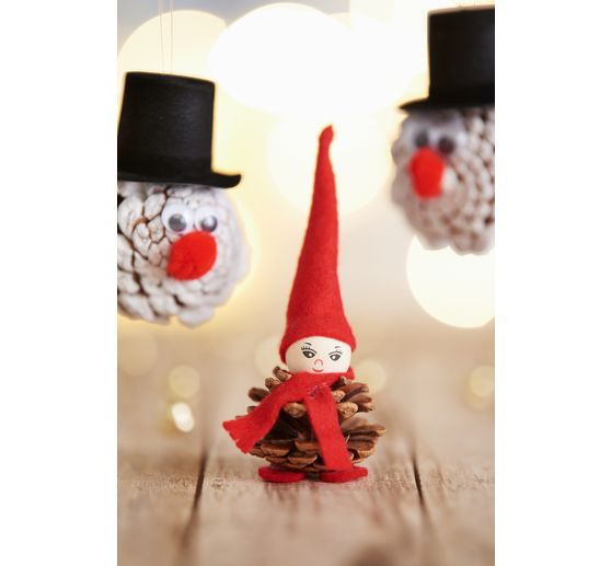 VBS Fir cones, 250 g