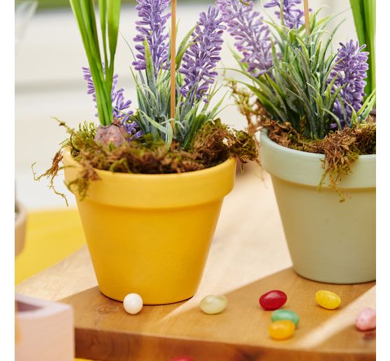 VBS Lavender pick "Lavendula", 10 pieces